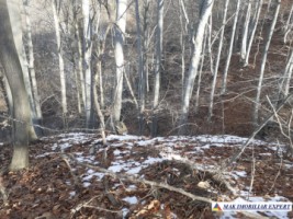 teren-2-ha-intraextravilan-poienarii-de-muscel-arges-dezvoltari-rezidentiale-agricultura-proiecte-mixte-7