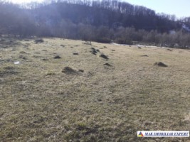teren-2-ha-intraextravilan-poienarii-de-muscel-arges-dezvoltari-rezidentiale-agricultura-proiecte-mixte-5
