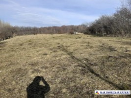 teren-2-ha-intraextravilan-poienarii-de-muscel-arges-dezvoltari-rezidentiale-agricultura-proiecte-mixte-6