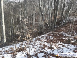 teren-2-ha-intraextravilan-poienarii-de-muscel-arges-dezvoltari-rezidentiale-agricultura-proiecte-mixte-8