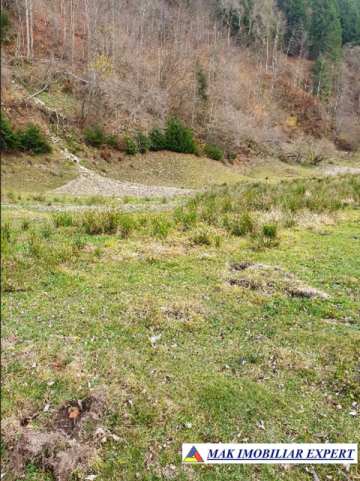 teren-intraextravilan-3700-mp-de-vanzare-rucar-satic-arges-ideal-pentru-dezvoltari-turistice-sau-rezidentiale