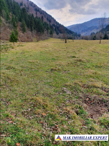 teren-intraextravilan-3700-mp-de-vanzare-rucar-satic-arges-ideal-pentru-dezvoltari-turistice-sau-rezidentiale-1