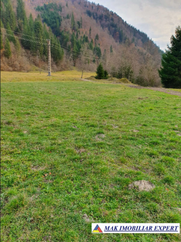 teren-intraextravilan-3700-mp-de-vanzare-rucar-satic-arges-ideal-pentru-dezvoltari-turistice-sau-rezidentiale-4