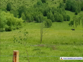 teren-intravilan-175-ha-de-vanzare-tarina-leresti-arges