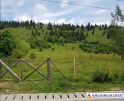 teren-intravilan-175-ha-de-vanzare-tarina-leresti-arges-2