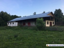 teren-1-ha-constructie-400-mp-intravilan-bughea-de-sus-1