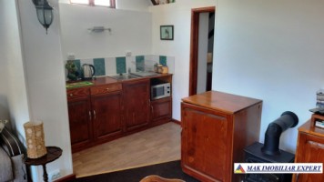 vila-9-camere-teren-2000-mp-matau-mioarele-suslanesti-27
