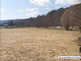 teren-intravilan-3600-mp-de-vanzare-in-berevoiesti-ideal-pentru-dezvoltari-rezidentiale-sau-comerciale-1