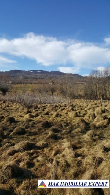 teren-4100-mp-intravilan-de-vanzare-in-nucsoara-arges-ideal-pentru-constructii-rezidentiale-si-dezvoltare-rurala-1
