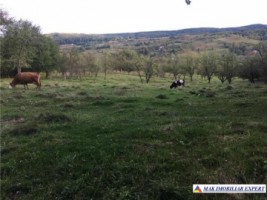 teren-intravilan-3000-mp-draghici-mihaesti-arges-ideal-pentru-constructii-rezidentiale