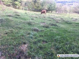 teren-intravilan-3000-mp-draghici-mihaesti-arges-ideal-pentru-constructii-rezidentiale-1
