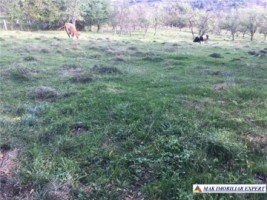 teren-intravilan-3000-mp-draghici-mihaesti-arges-ideal-pentru-constructii-rezidentiale-2