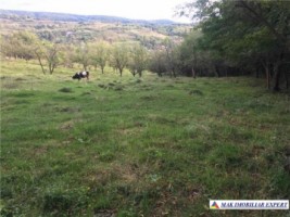 teren-intravilan-3000-mp-draghici-mihaesti-arges-ideal-pentru-constructii-rezidentiale-3