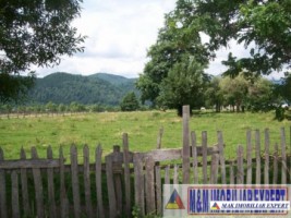 tteren-intravilan-119-ha-tarina-leresti-arges-potrivit-pentru-dezvoltare-rezidentiala
