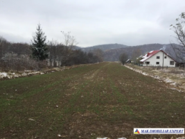 teren-intravilan-de-112-ha-in-suici-arges-ideal-pentru-dezvoltare-rezidentiala-sau-agricola