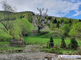teren-7340-mp-intraextravilan-de-vanzare-in-valea-caselor-dragoslavele-arges-oportunitate-ideala-pentru-dezvoltari