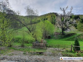 teren-7340-mp-intraextravilan-de-vanzare-in-valea-caselor-dragoslavele-arges-oportunitate-ideala-pentru-dezvoltari-1