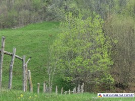 teren-7340-mp-intraextravilan-de-vanzare-in-valea-caselor-dragoslavele-arges-oportunitate-ideala-pentru-dezvoltari-3