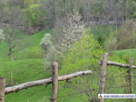 teren-7340-mp-intraextravilan-de-vanzare-in-valea-caselor-dragoslavele-arges-oportunitate-ideala-pentru-dezvoltari-2