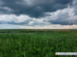 teren-agricol-si-lac-496-ha-extravilan-de-vanzare-in-negoi-dolj-ideal-pentru-activitati-agricole-si-piscicole-2