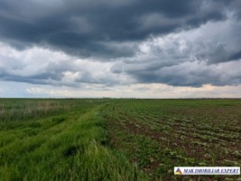 teren-agricol-si-lac-496-ha-extravilan-de-vanzare-in-negoi-dolj-ideal-pentru-activitati-agricole-si-piscicole-6