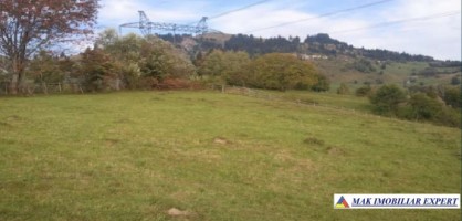 teren-4398-mp-intravilan-dambovicioara
