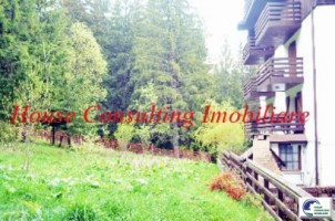 predeal-teren-intravilan-cioplea