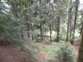 teren-intravilan-situat-in-predeal-2