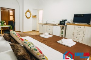 garsoniera-de-lux-25-mp-de-inchiriat-in-sibiu-ultracentral-2