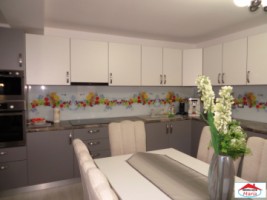 casa-buna-pentru-pensiune-sau-2-familii-id-22249-1