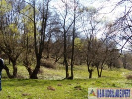 teren-37-ha-intra-extravilan-mihaesti-9