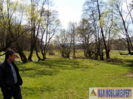 teren-37-ha-intra-extravilan-mihaesti-11