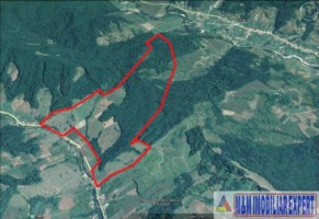 teren-37-ha-intra-extravilan-mihaesti-15