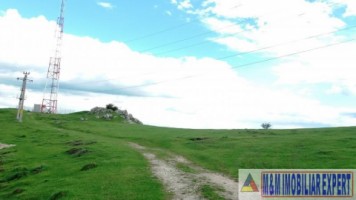 teren-extravilan-de-10-ha-in-stoenesti-arges-oportunitate-agricola-sau-investitie