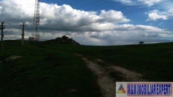 teren-extravilan-de-10-ha-in-stoenesti-arges-oportunitate-agricola-sau-investitie-1
