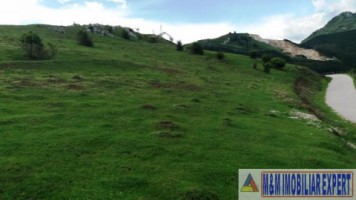 teren-extravilan-de-10-ha-in-stoenesti-arges-oportunitate-agricola-sau-investitie-2