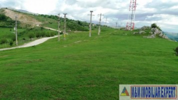 teren-extravilan-de-10-ha-in-stoenesti-arges-oportunitate-agricola-sau-investitie-3