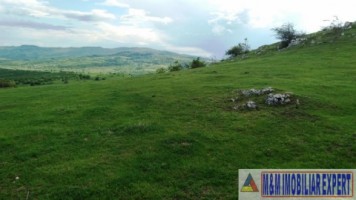teren-extravilan-de-10-ha-in-stoenesti-arges-oportunitate-agricola-sau-investitie-4