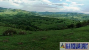 teren-extravilan-de-10-ha-in-stoenesti-arges-oportunitate-agricola-sau-investitie-5