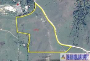 teren-extravilan-de-10-ha-in-stoenesti-arges-oportunitate-agricola-sau-investitie-6