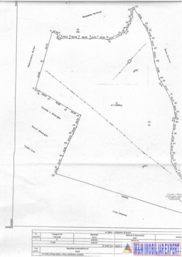 teren-extravilan-de-10-ha-in-stoenesti-arges-oportunitate-agricola-sau-investitie-7
