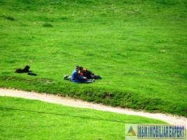 teren-extravilan-de-10-ha-in-stoenesti-arges-oportunitate-agricola-sau-investitie-9