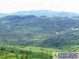 teren-extravilan-de-10-ha-in-stoenesti-arges-oportunitate-agricola-sau-investitie-10