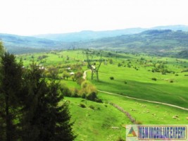 teren-extravilan-de-10-ha-in-stoenesti-arges-oportunitate-agricola-sau-investitie-11