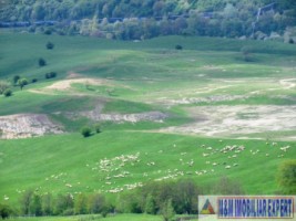 teren-extravilan-de-10-ha-in-stoenesti-arges-oportunitate-agricola-sau-investitie-13