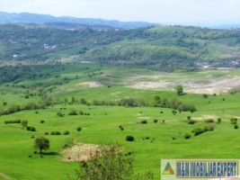 teren-extravilan-de-10-ha-in-stoenesti-arges-oportunitate-agricola-sau-investitie-14
