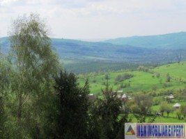 teren-extravilan-de-10-ha-in-stoenesti-arges-oportunitate-agricola-sau-investitie-15