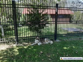 casa-de-vacanta-teren-1000-mp-de-vanzare-in-fundulea-calarasi-ideala-pentru-relaxare-11