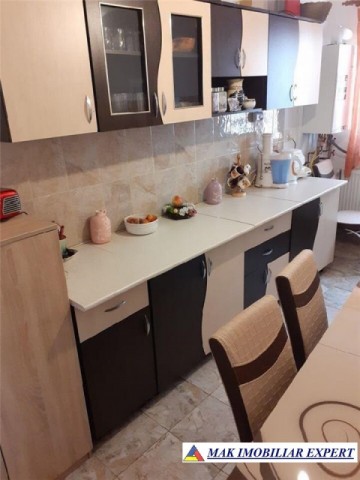 casa-2-camere-teren-463-mp-rucar-5