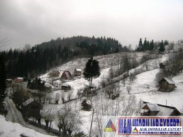 teren-intravilan-24-ha-valea-cheii-podul-dambovitei-dambovicioara-arges-2